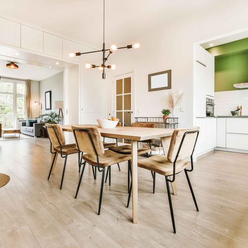 Elevate Your Dining Experience with Plastic Dining Chairs: A Perfect Blend of Style and Comfort
