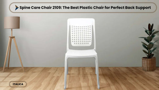 Spine Care Chair 2109: The Best Plastic Chair for Perfect Back Support