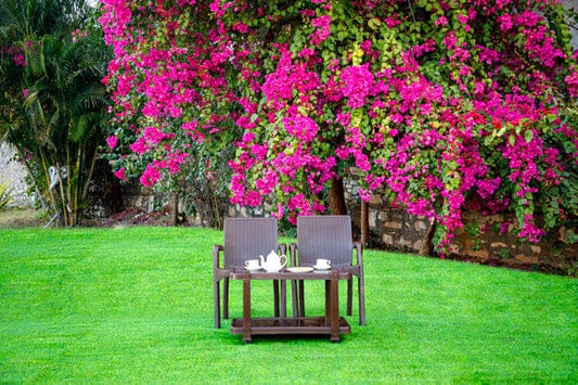 Outdoor Living: Enhancing Your Garden with Italica