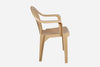 Goodwill Plastic Chair Series 1625