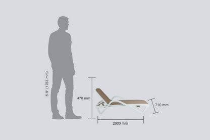 Sunlounger 8106 Beige and White – Premium Sun Lounger